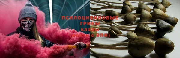 стафф Протвино