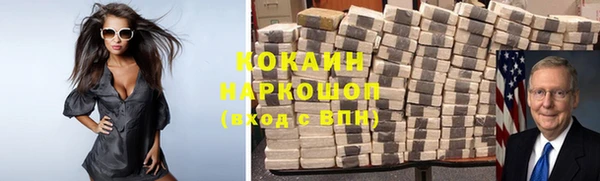 сатива Белокуриха
