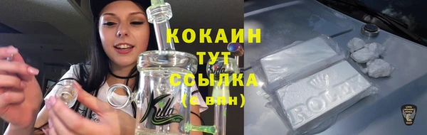 сатива Белокуриха