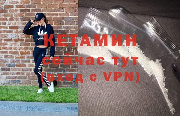 сатива Белокуриха