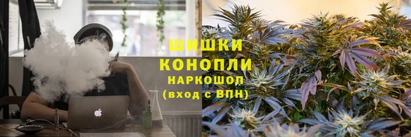 сатива Белокуриха